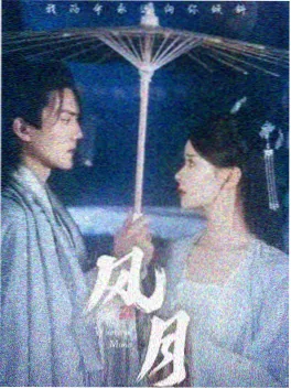 种马小说《雾隐城纪事》封面
